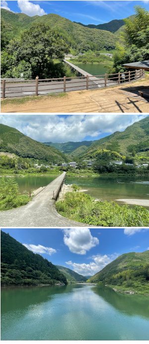サイクリングで見た景色